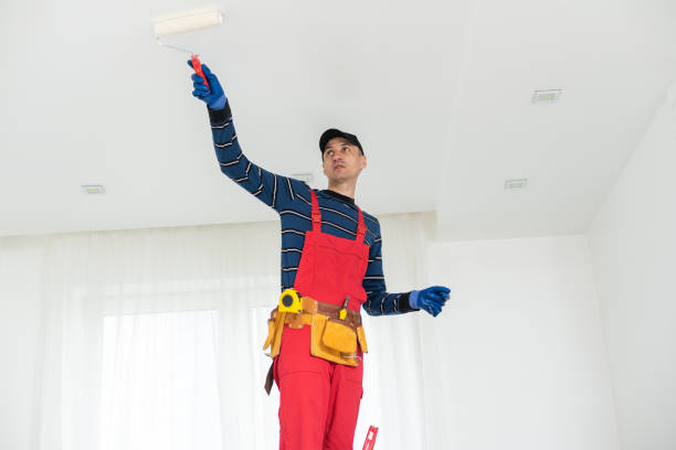 Reliable Nashville, IL Painting Solutions